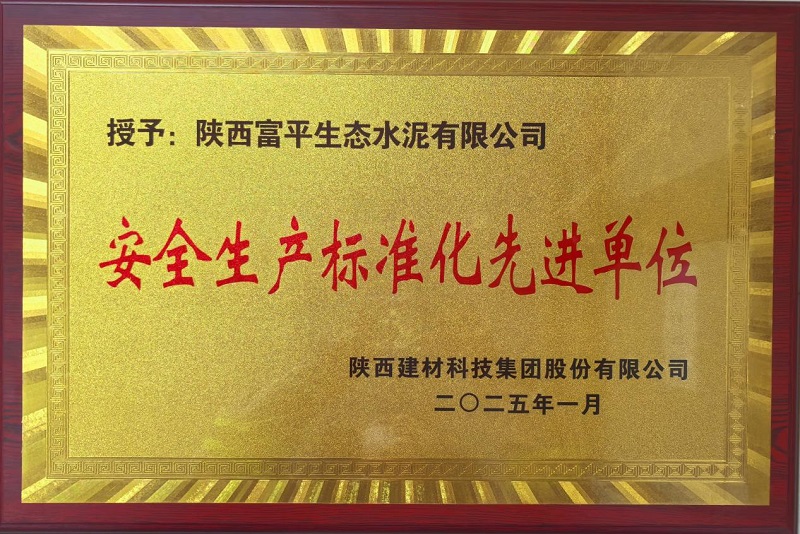 富平公司:奮楫揚帆逐“安”行